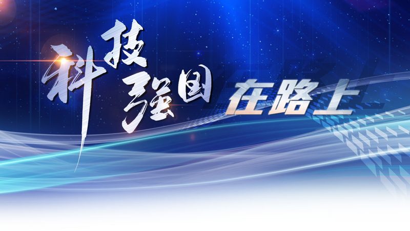 跨境电商云服务：揭秘价格背后的价值与考量